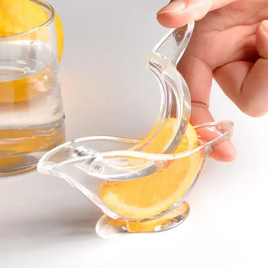 Presse agrume manuel glisse | SlipToo™ Art-Galleyset