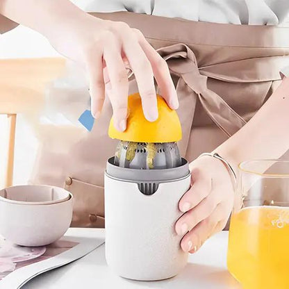 presse-agrumes-manuel-polyvalent-Art-galleyset-6