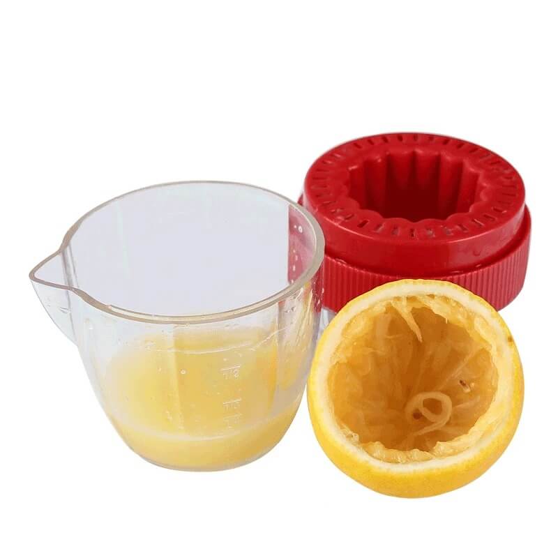 Presse-fruit-manuel-Art-galleyset-3